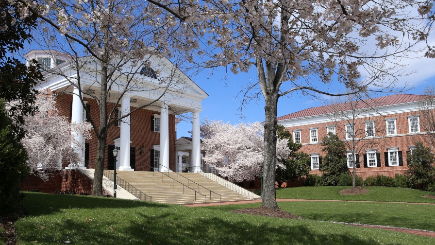 UVA Darden Announces Faculty Promotions – Darden Report Online