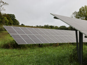 Solar panels in a green field.