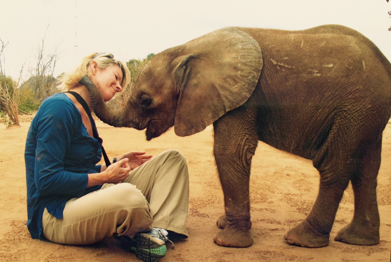 Dorothy Batten sitting and smiling while a baby elephant wraps his trunk around her shoulders.