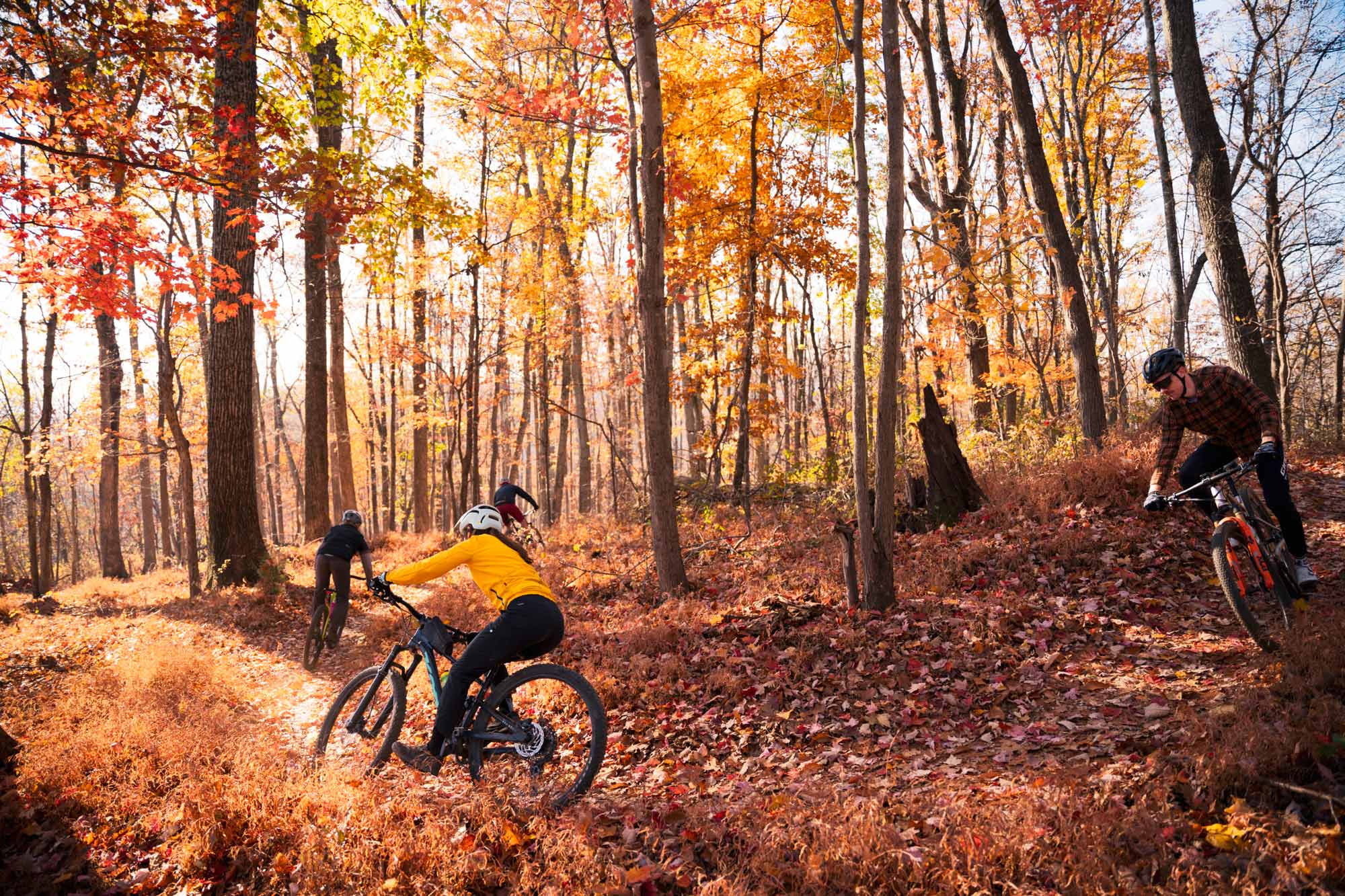 Mountain bikers riding in a wooded area with red, yellow and orange leaves.